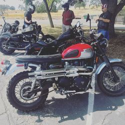 2016 Triumph Scrambler