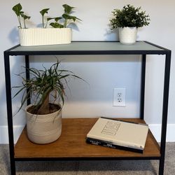 Modern Entryway Table / Plant Stand
