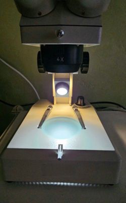 Steindorff stereo microscope 🔬