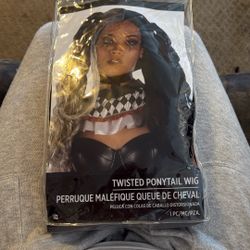 Twisted Ponytail Wig