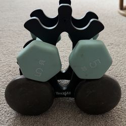 5 lb & 10 lb Dumbbells with Rack – Compact Home Gym 💪
