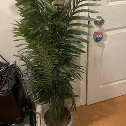 Faux Fake House Plant