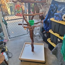 New Play Pen For Big Birds Made Of Ribon Woodstrong Wood 24 Bi24bi5 Foot High