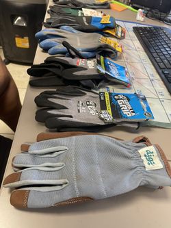 Misc Gloves All Brands 