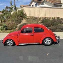 1964 Volkswagen Bug 
