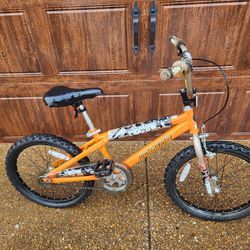 *** BOYS BIKE ***