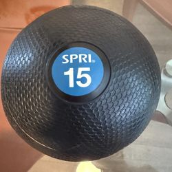 REP Weighted Slam Balls