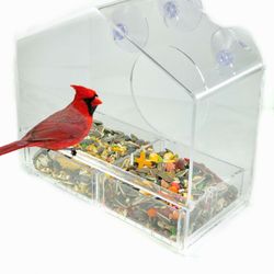 Bird Feeder 