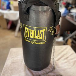 Hanging Punching Bag