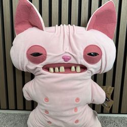 Big Fuggs Hairless Sphinx Cat & Pink Fugg