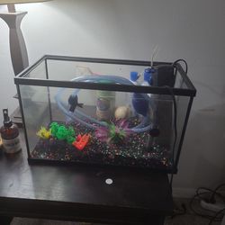 10 Gl Fish Tank And Accessories