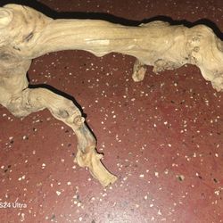 Drift Wood