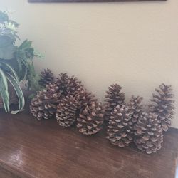  Big PINE CONES  - Decorations / Crafts, 12