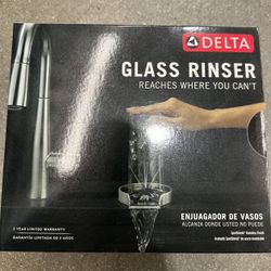Delta Glass Rinser