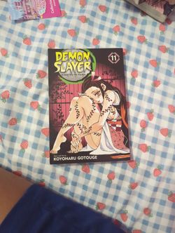 Demon Slayer Manga 11