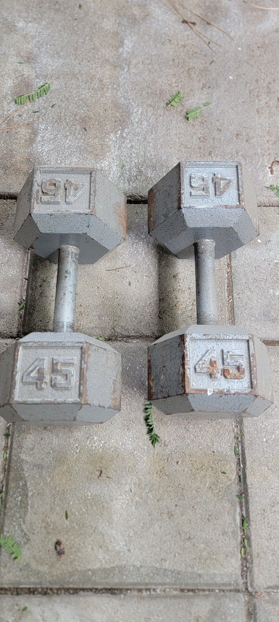 45 Lb Hex Dumbbells