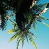 gmx_ppl 64