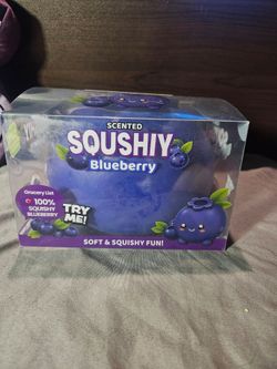 Jumbo scented Blueberry squishy