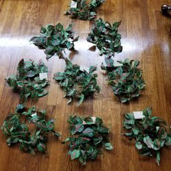 9 - Artificial Colorful Vines For Wedding, Home Decorations Birthday Parties  Size 5 Feet & 8 Inch Long Each.