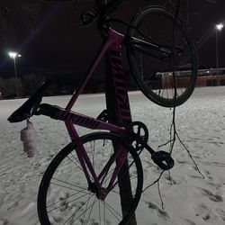 unkown fixie