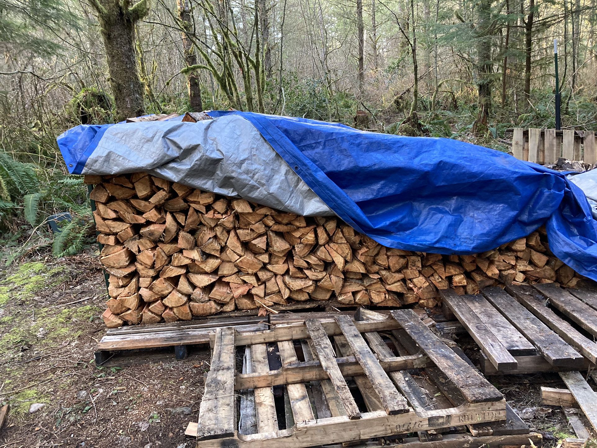 Split Firewood