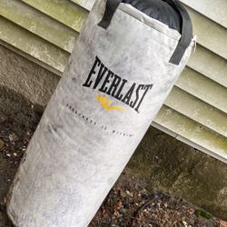 Punching Bag