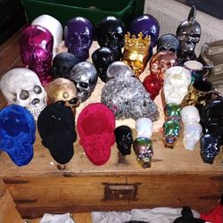 Variety Of Skulls
