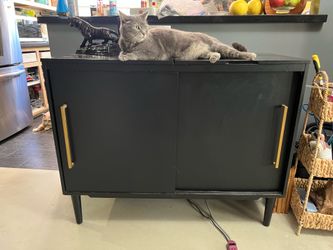 Crosley Furniture Everett Media Console and Record Player Stand with Storage for Vinyl Records, Matte Black