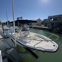 2010 Boston whaler Dauntless