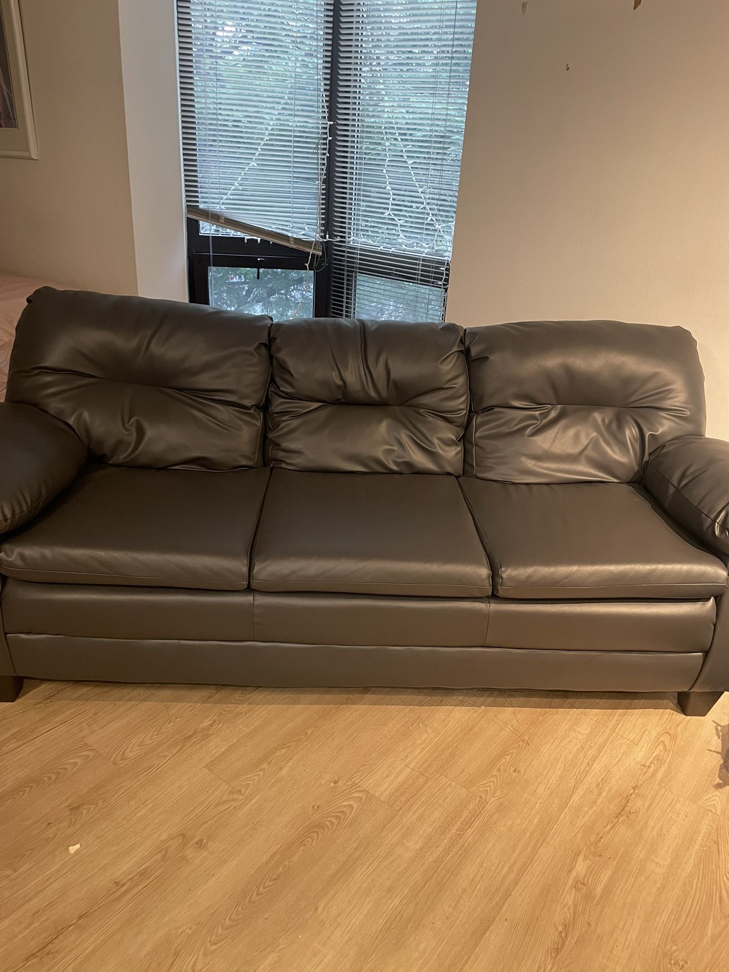Leather Couch