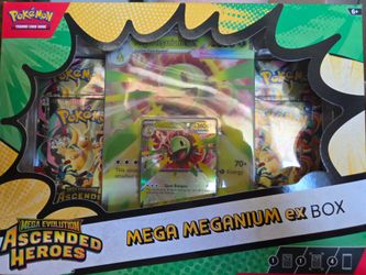 Pokemon - Ascended Heroes Ex Box