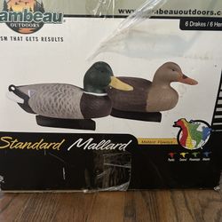 Mallard Duck Decoys