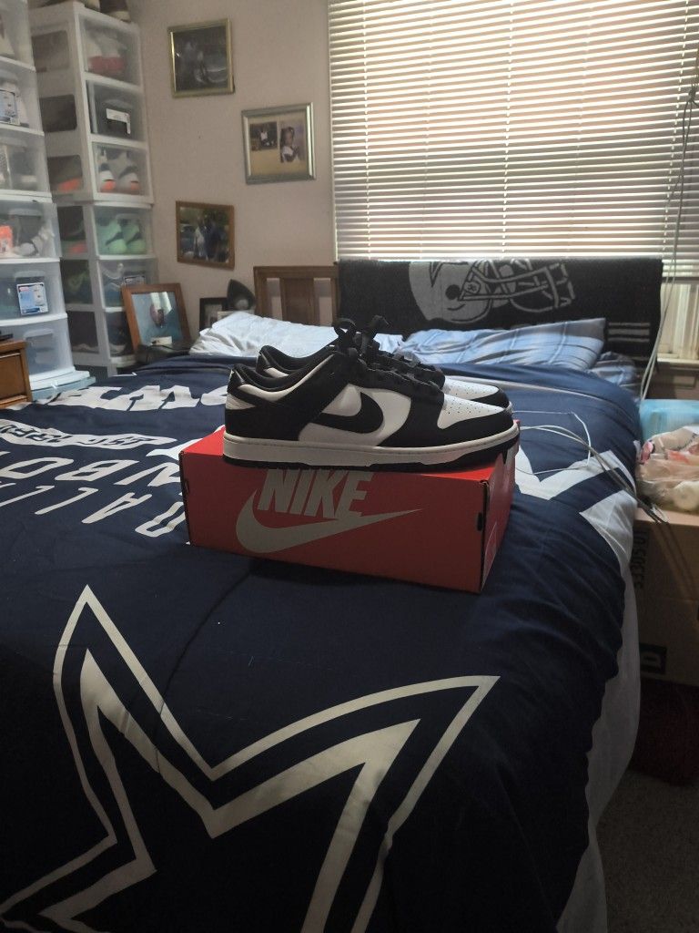 Brand New Dunks Never Been Worn Size 13 Still Has Box Never Been Worn
