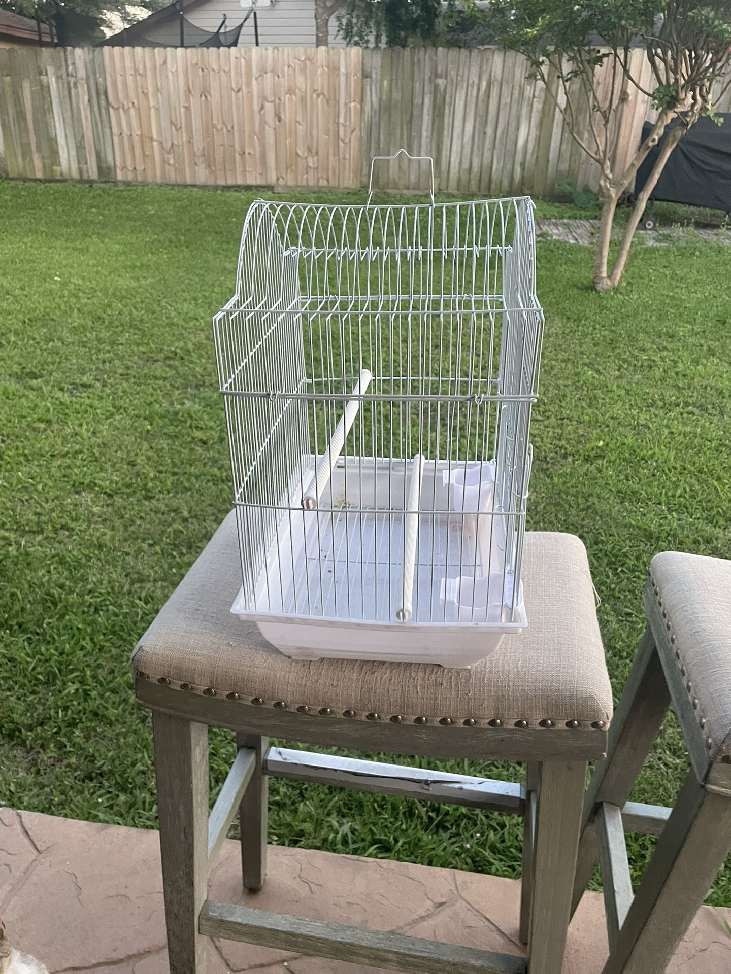 Bird Cage