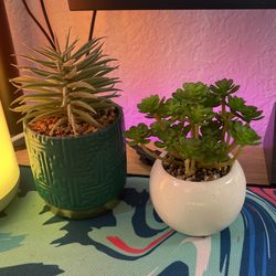 Fake Plants