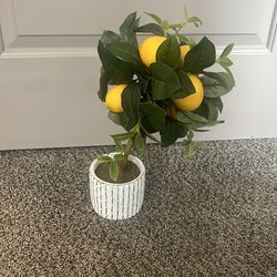 Lemon tree home decor