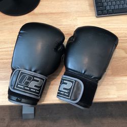 C2 16oz Boxing, MMA, Muay Thai Gloves