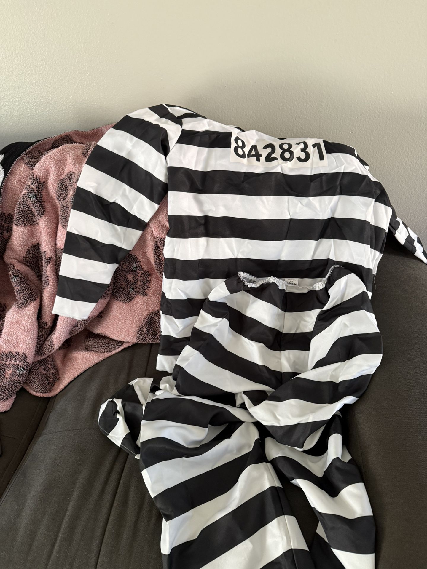 Halloween Costume Inmate