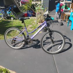 Purple Huffy Women's Bike