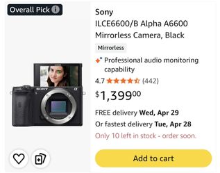 Sony A6600