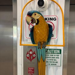 Large Paper Mâché McCoy parrot ready to hang- 45 inches long