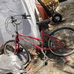 Bicycle 