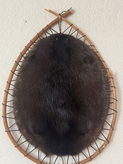 Beaver Pelt Decoration 