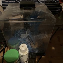 Fish Tank 