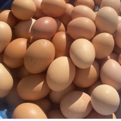 Fresh Eggs 