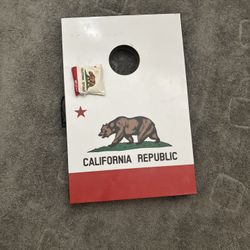 Cornhole Board And Bag Set 