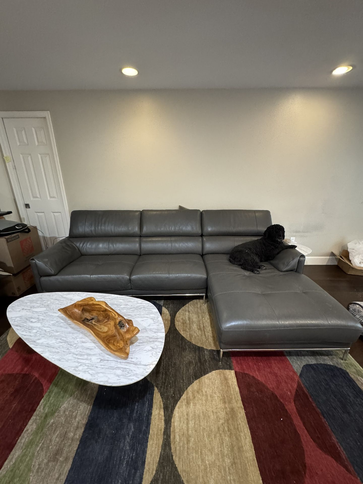 Kasala Grey Leather Sectional Couch 