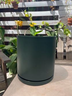 Outdoor planter pot