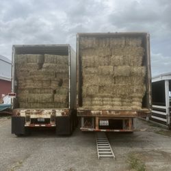 Alfalfa Hay