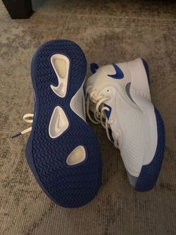 Nike court sneakers zoom